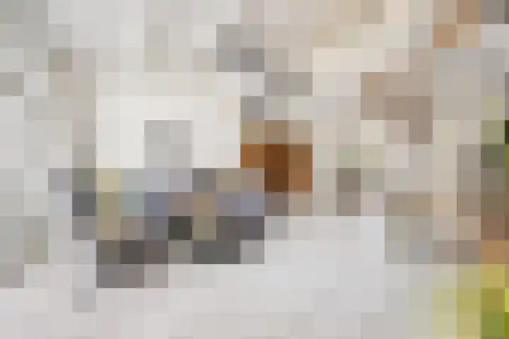 Molenhoek 9 A Druten thumbnail 12