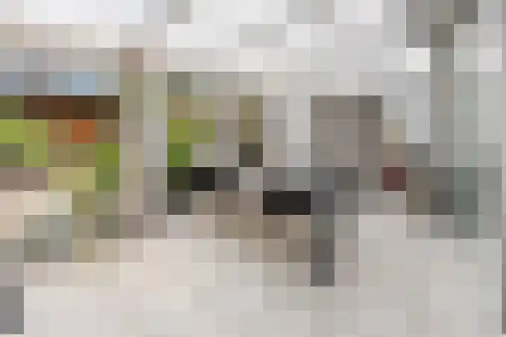 Molenhoek 9 A Druten thumbnail 15