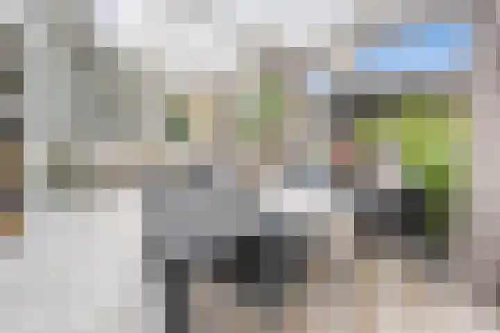 Molenhoek 9 A Druten thumbnail 16