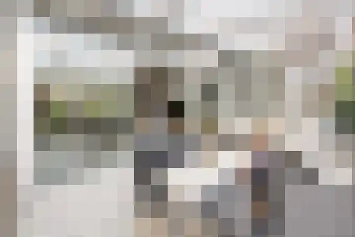 Molenhoek 9 A Druten thumbnail 18