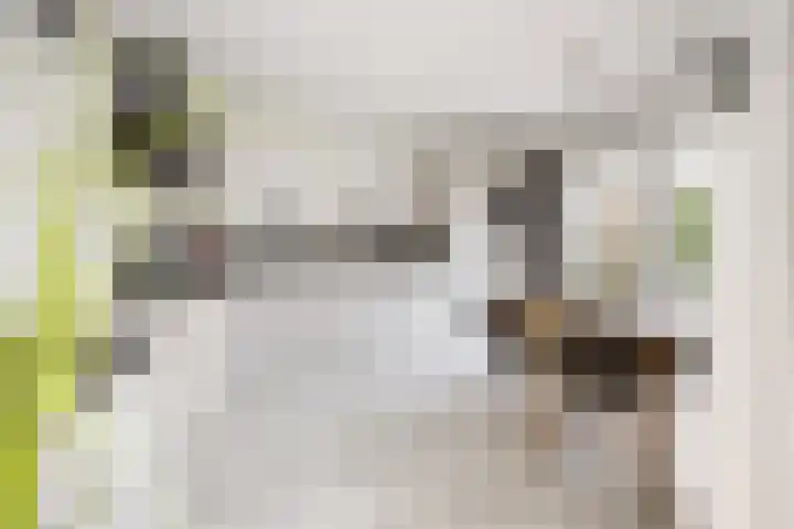 Molenhoek 9 A Druten thumbnail 19