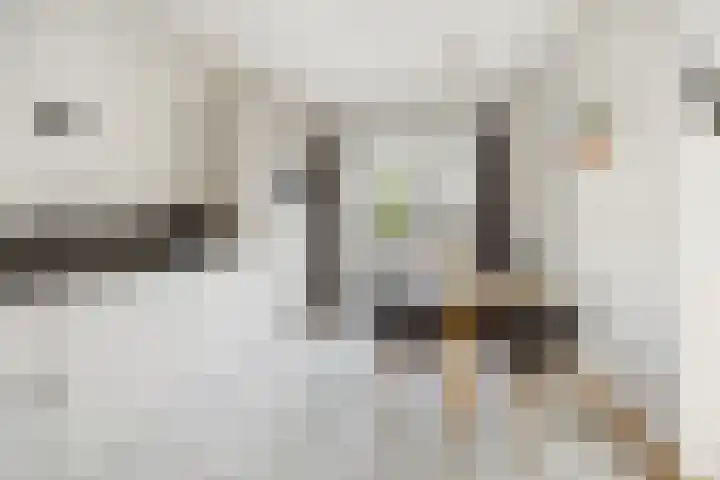 Molenhoek 9 A Druten thumbnail 21