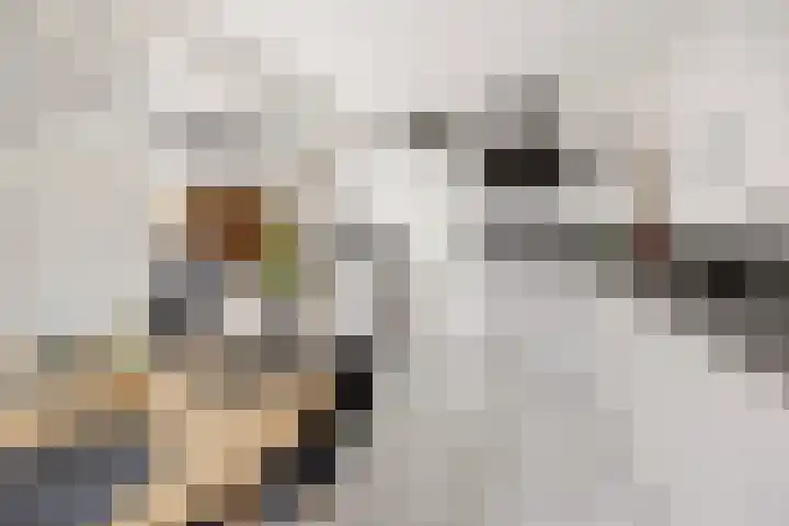 Molenhoek 9 A Druten thumbnail 22