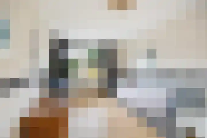 Molenhoek 9 A Druten thumbnail 34