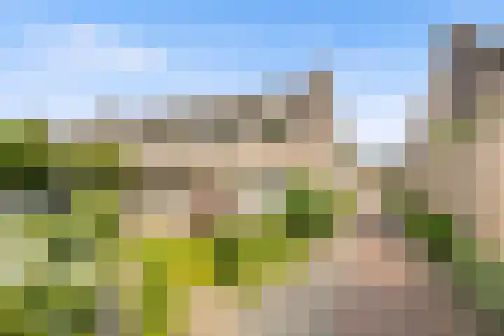 Molenhoek 9 A Druten thumbnail 45