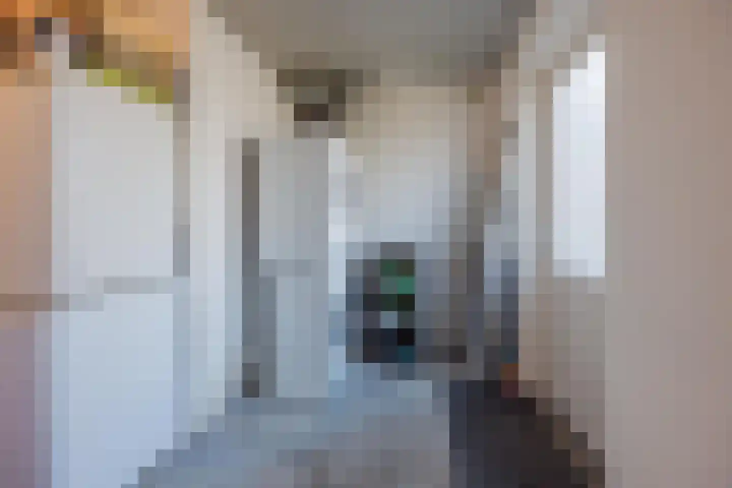 Molenhoek 9 Wanssum thumbnail 32