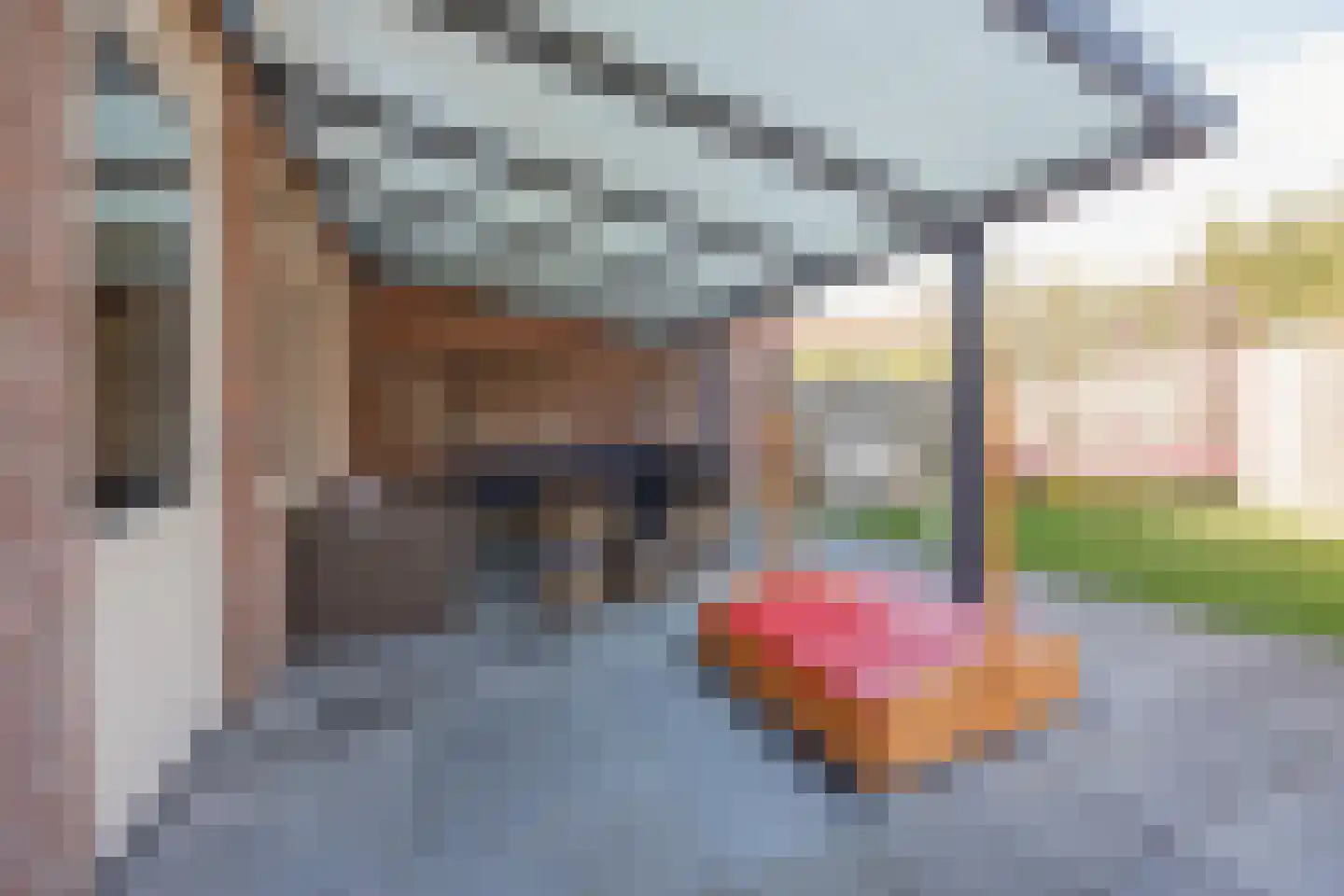 Molenhoek 9 Wanssum thumbnail 33