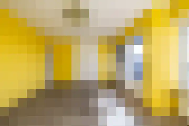 Molenhoeve 16 Hillegom thumbnail 10