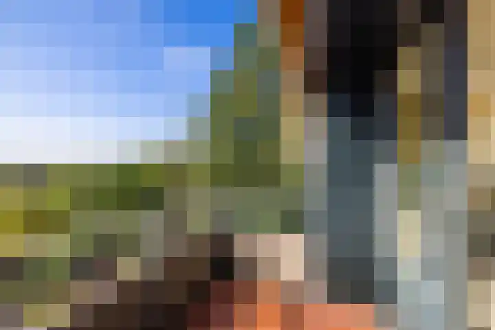 Molenhoeve 16 Hillegom thumbnail 13