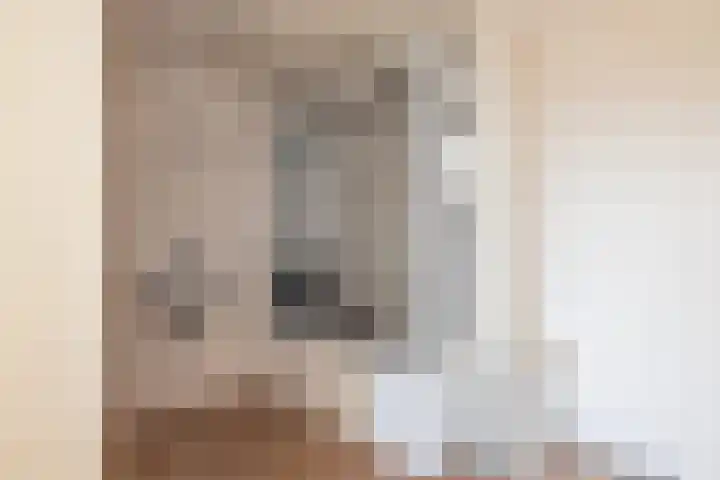 Molenhoeve 16 Hillegom thumbnail 17