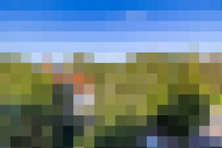 Molenhoeve 16 Hillegom thumbnail 24