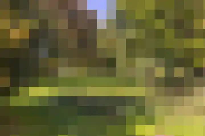 Molenhoeve 16 Hillegom thumbnail 31