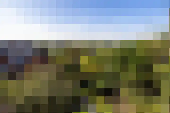 Molenhoeve 16 Hillegom thumbnail 4