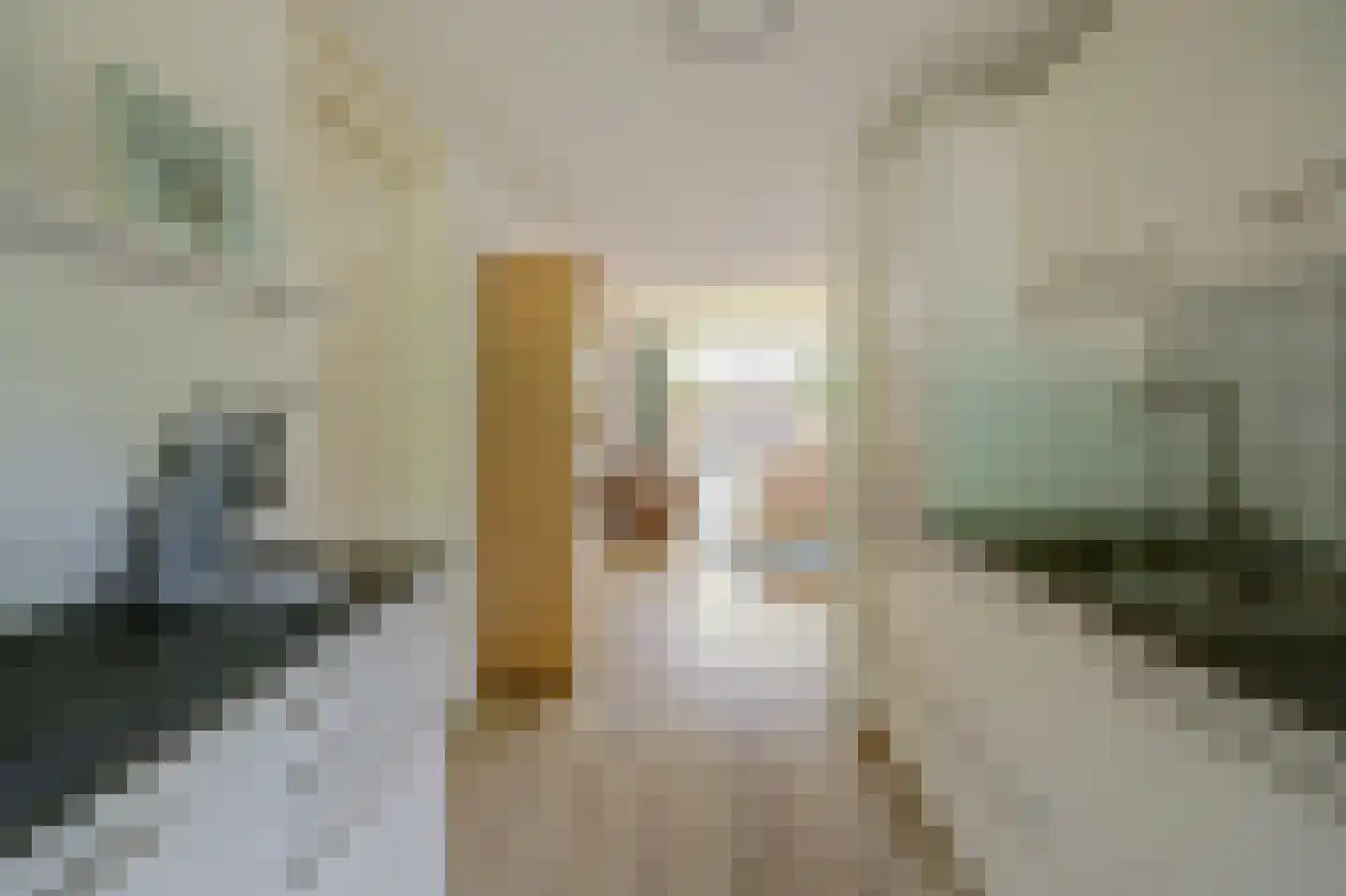 Molenhoeve 22 Renesse thumbnail 12
