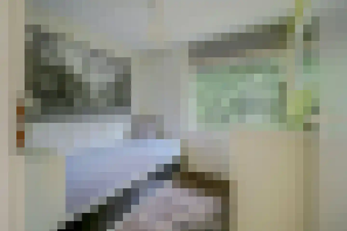 Molenhoeve 22 Renesse thumbnail 13