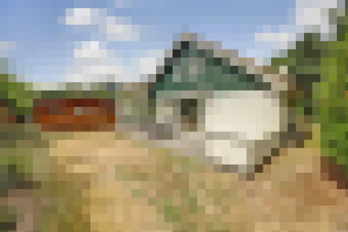 Molenhoeve 22 Renesse thumbnail 24