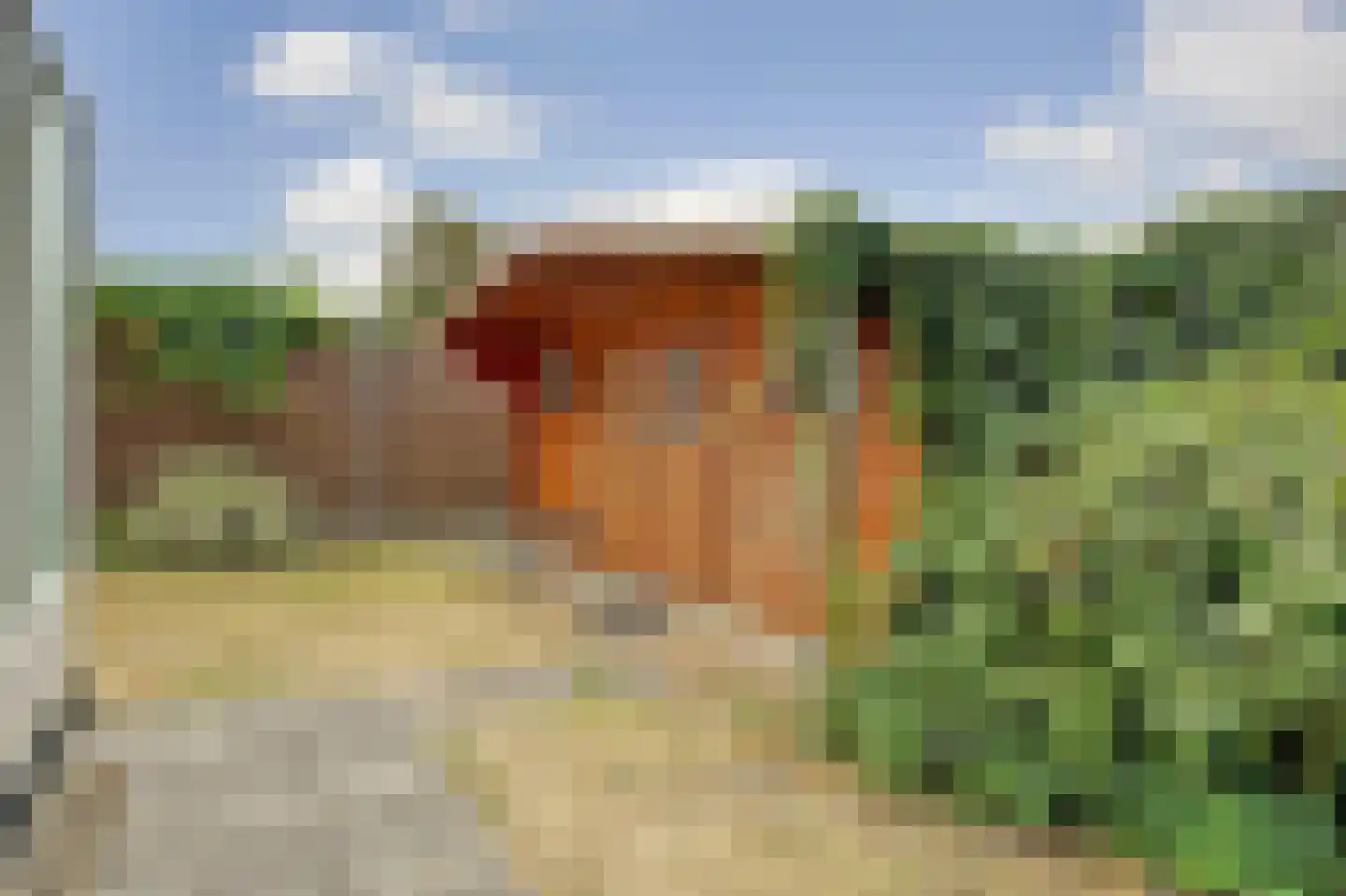 Molenhoeve 22 Renesse thumbnail 28