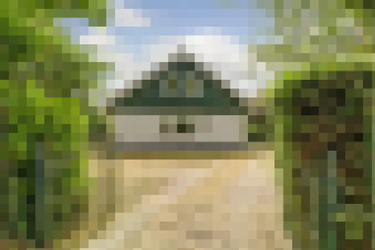 Molenhoeve 22 Renesse thumbnail 32