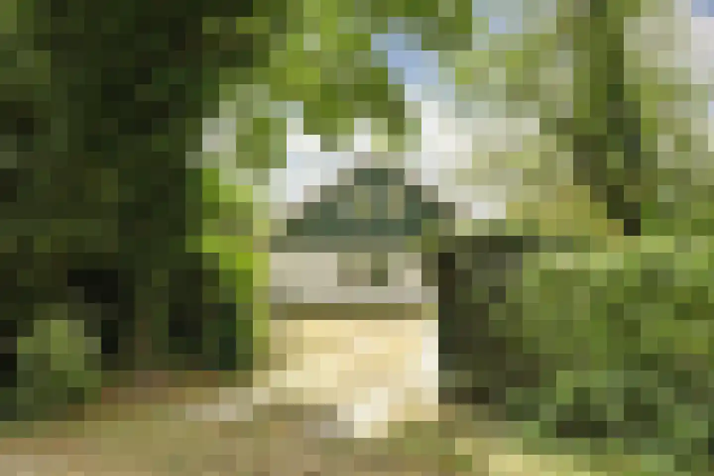 Molenhoeve 22 Renesse thumbnail 33