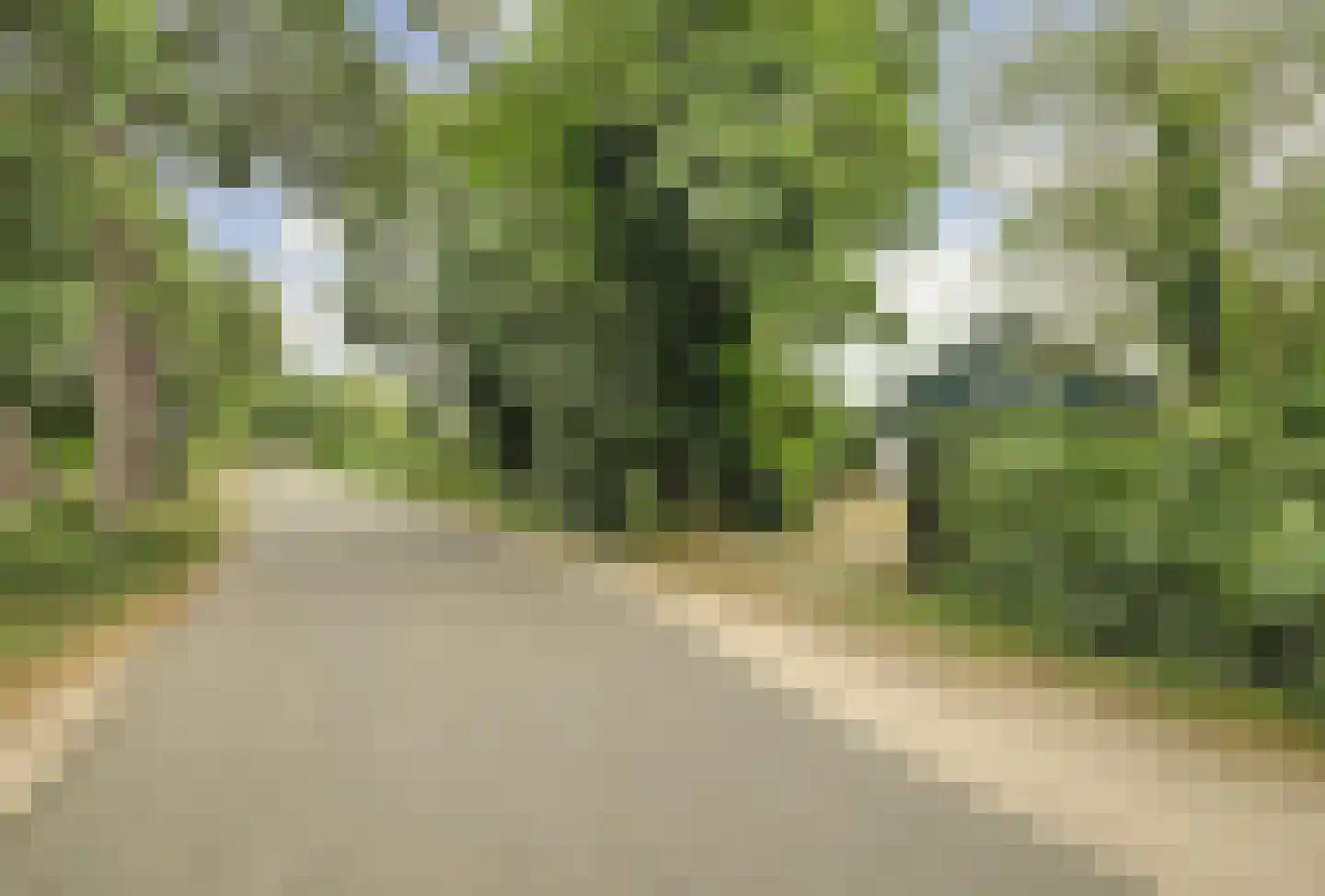 Molenhoeve 22 Renesse thumbnail 34