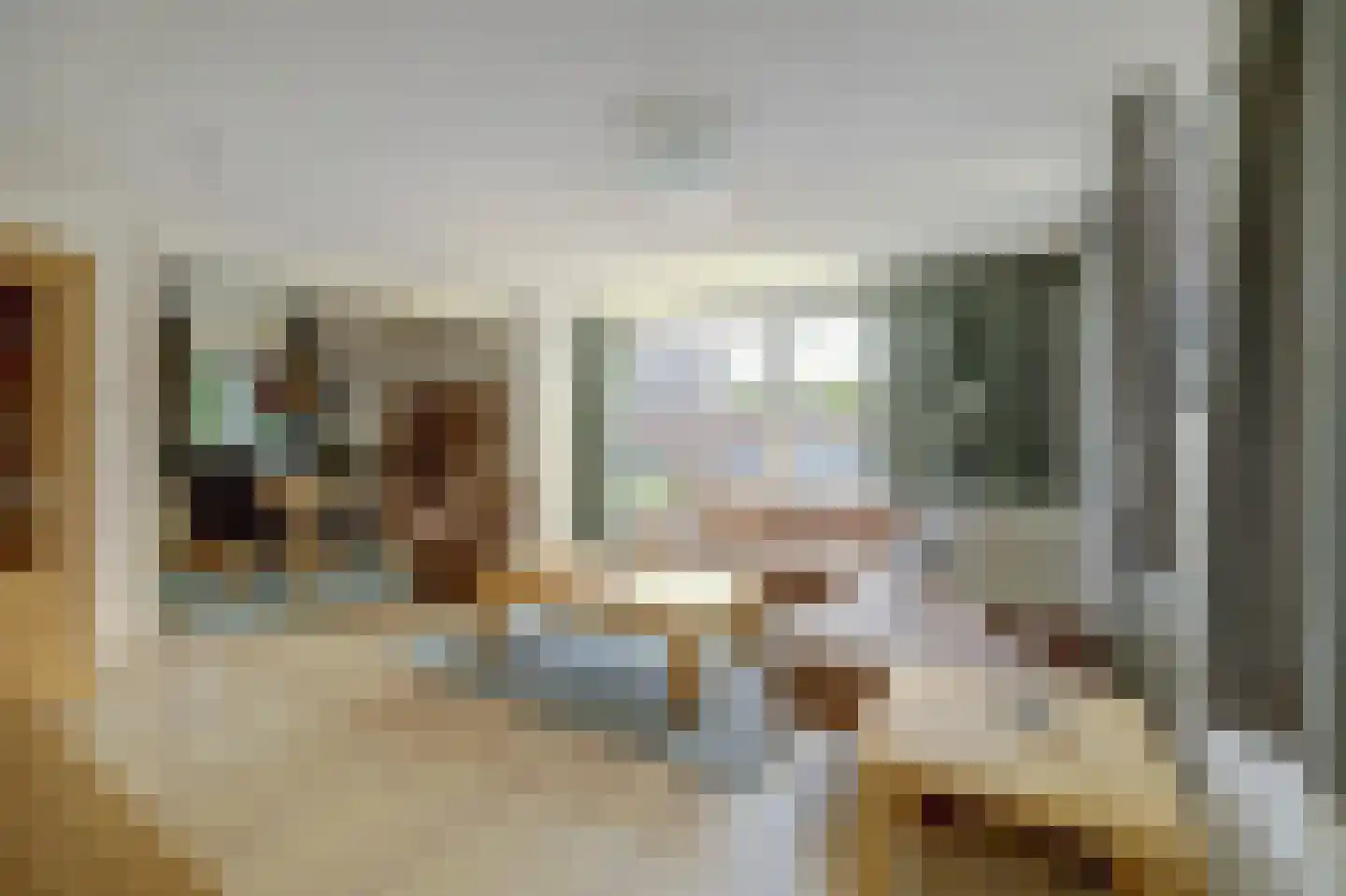 Molenhoeve 22 Renesse thumbnail 6