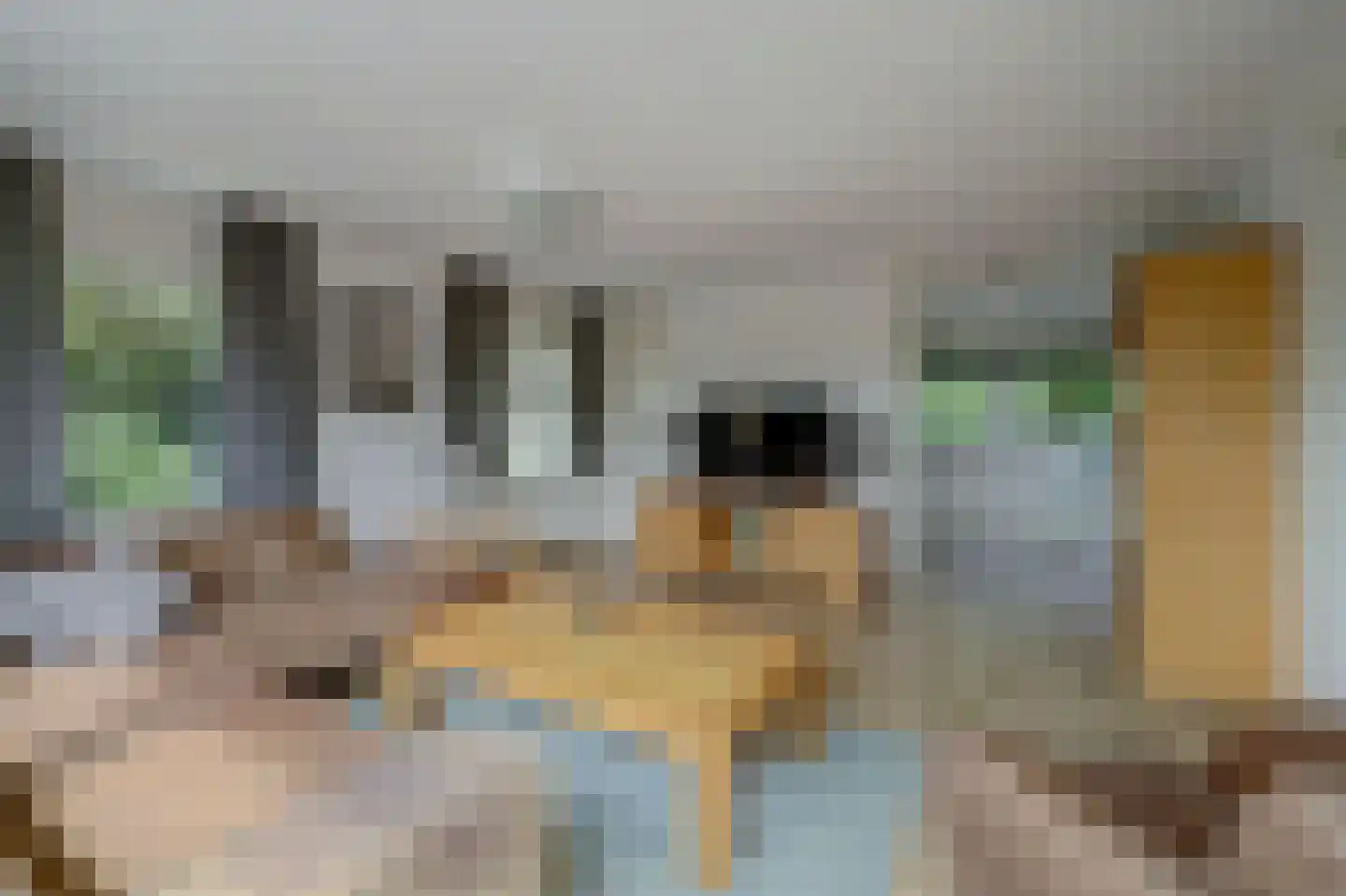 Molenhoeve 22 Renesse thumbnail 7