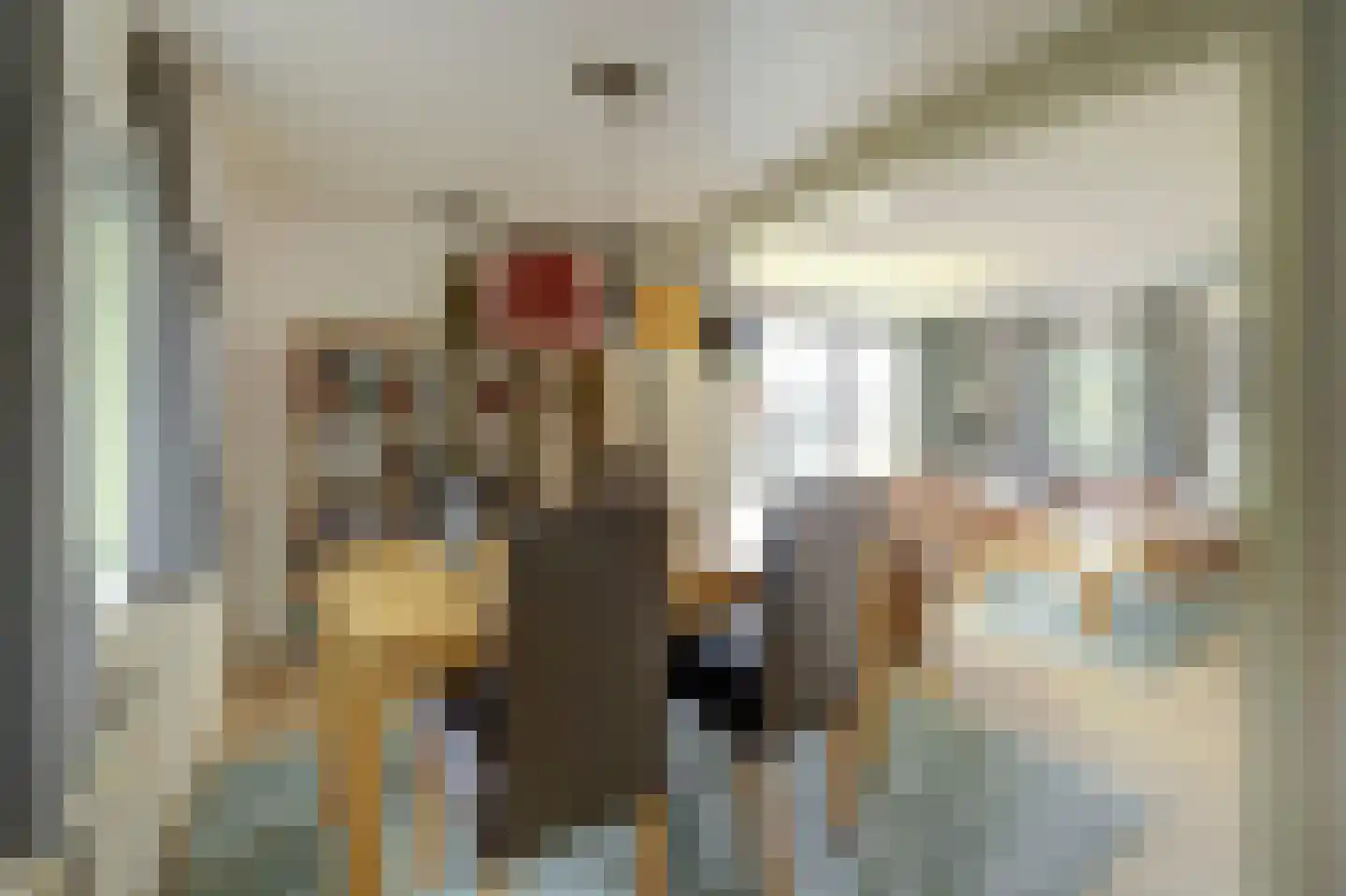 Molenhoeve 22 Renesse thumbnail 8