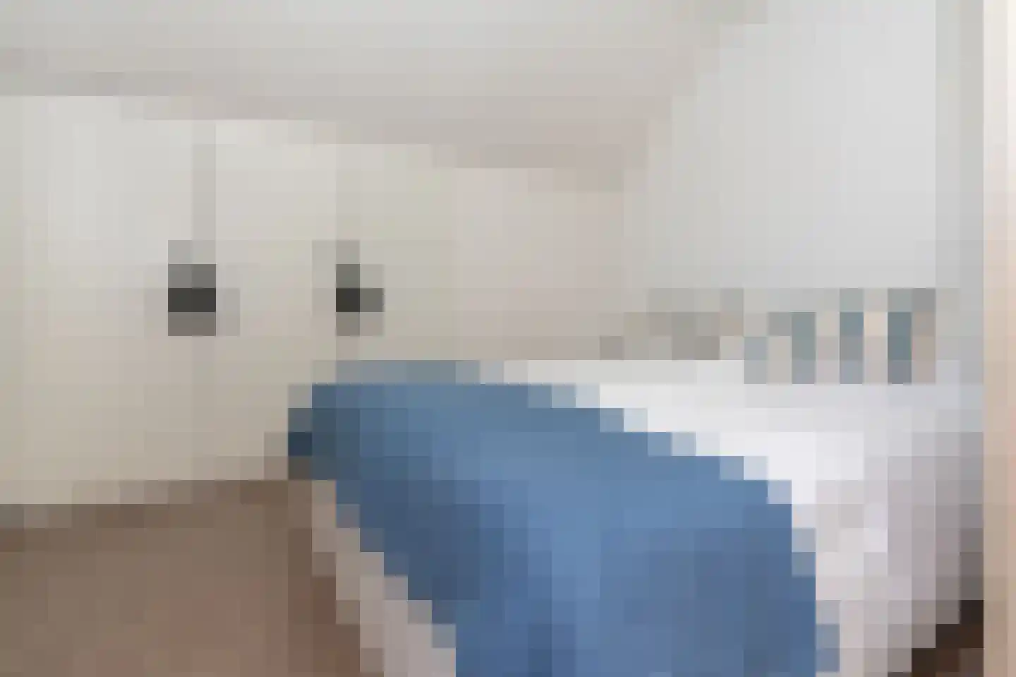 Molenhoeve 31 Renesse thumbnail 15