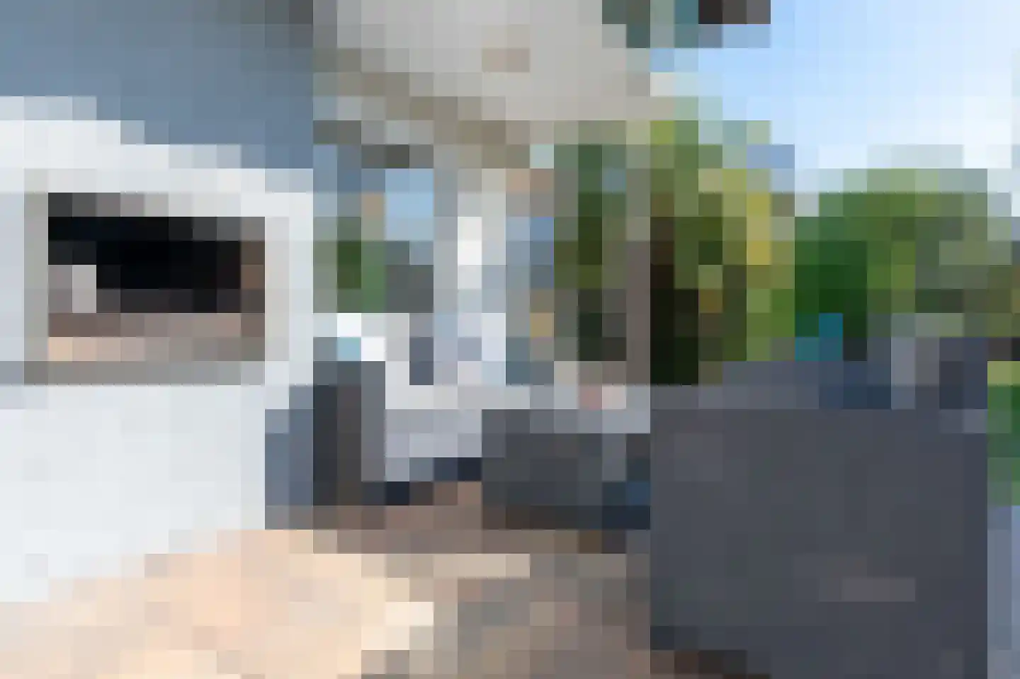 Molenhoeve 31 Renesse thumbnail 20