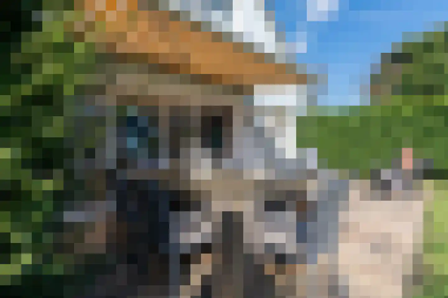Molenhoeve 31 Renesse thumbnail 23
