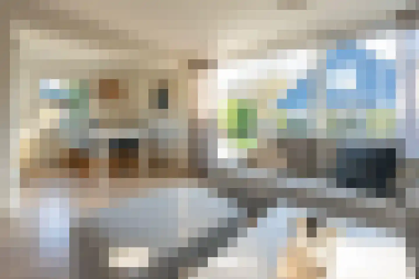 Molenhoeve 31 Renesse thumbnail 4