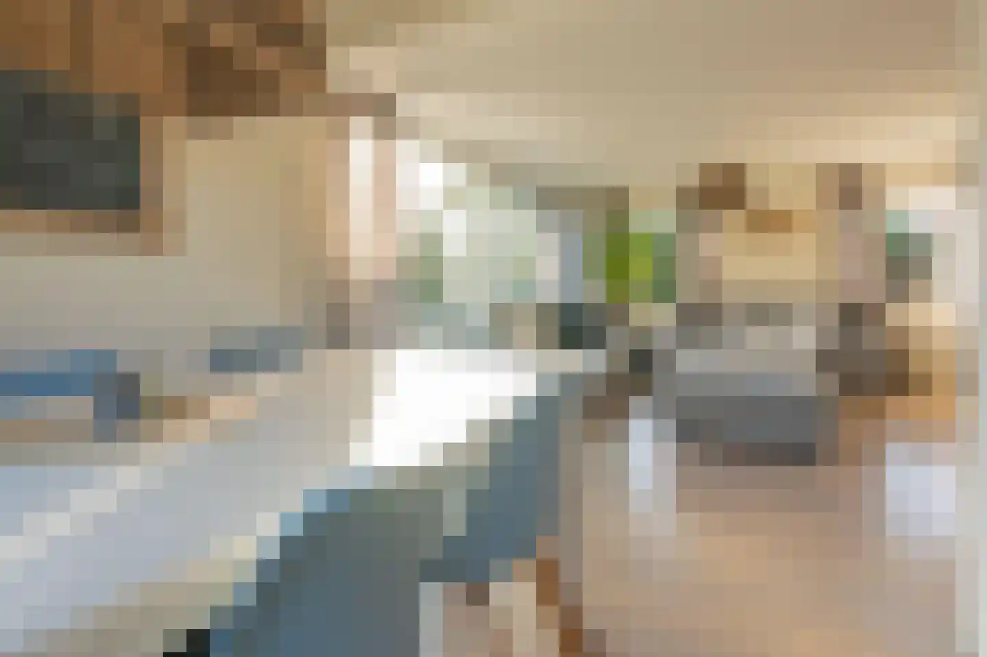 Molenhoeve 31 Renesse thumbnail 5