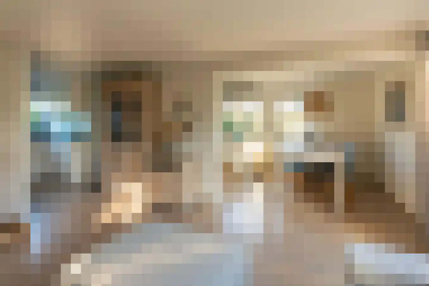 Molenhoeve 31 Renesse thumbnail 6