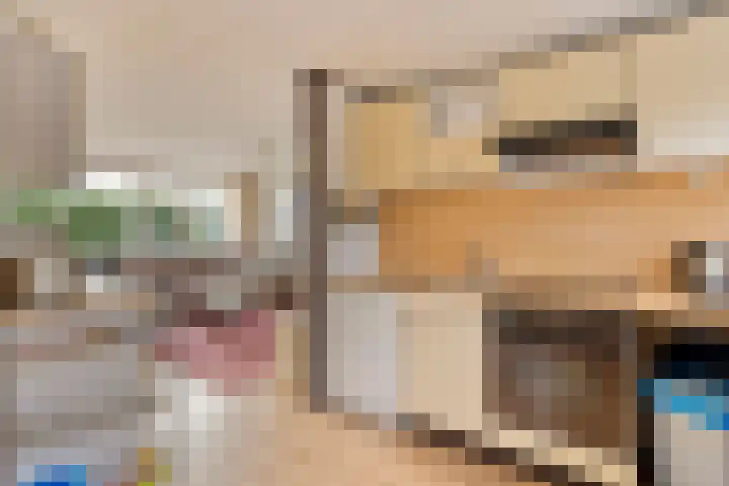 Molenhoeve 42 Renesse thumbnail 10