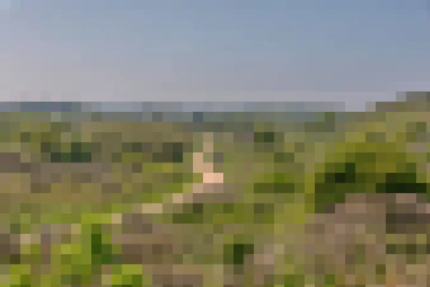 Molenhoeve 42 Renesse thumbnail 27