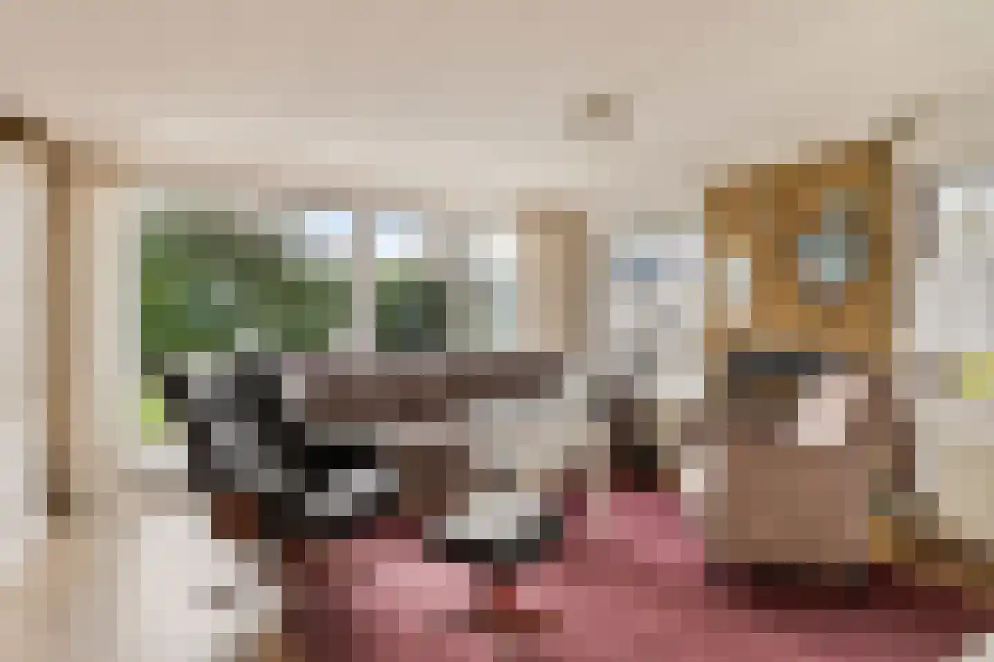 Molenhoeve 42 Renesse thumbnail 6