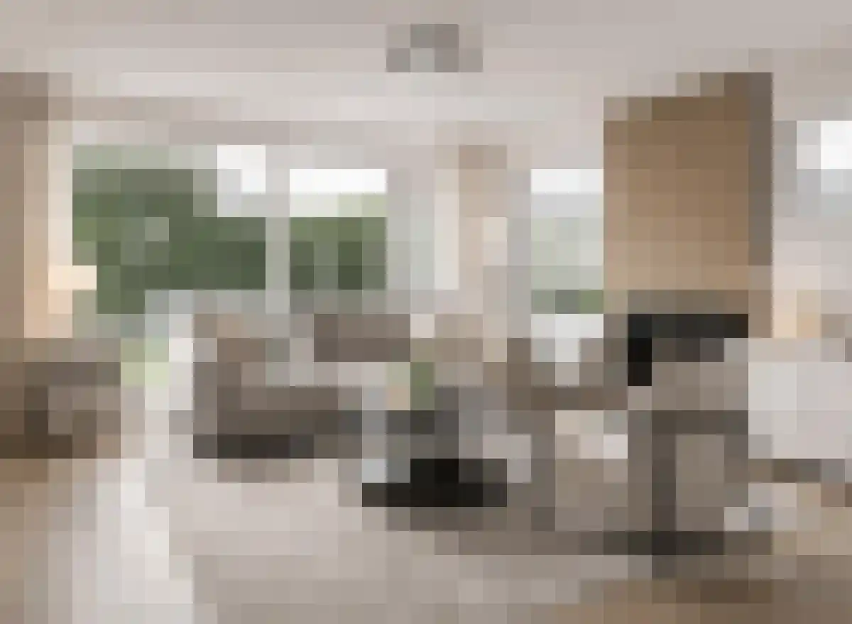 Molenhoeve 42 Renesse thumbnail 7