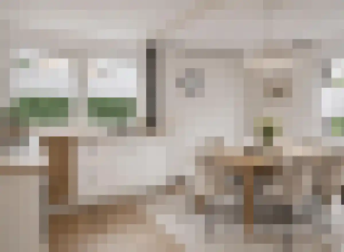 Molenhoeve 42 Renesse thumbnail 9