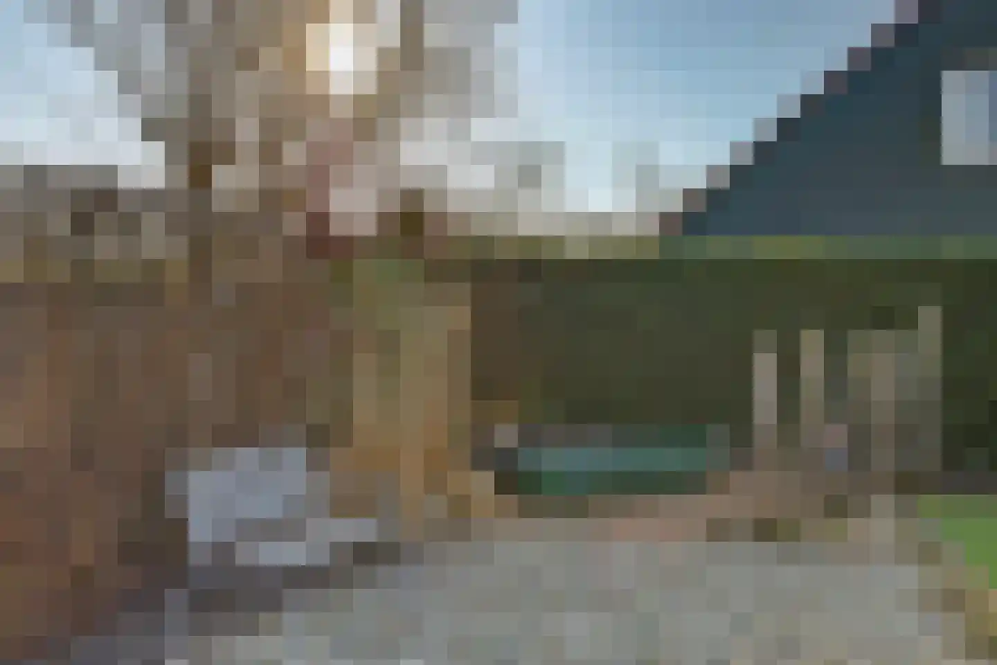 Molenhoeve 46 Renesse thumbnail 25