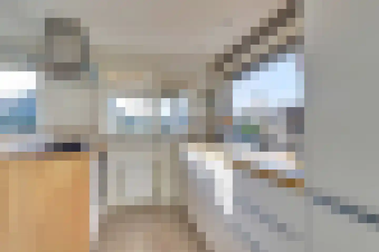Molenhoeve 46 Renesse thumbnail 9