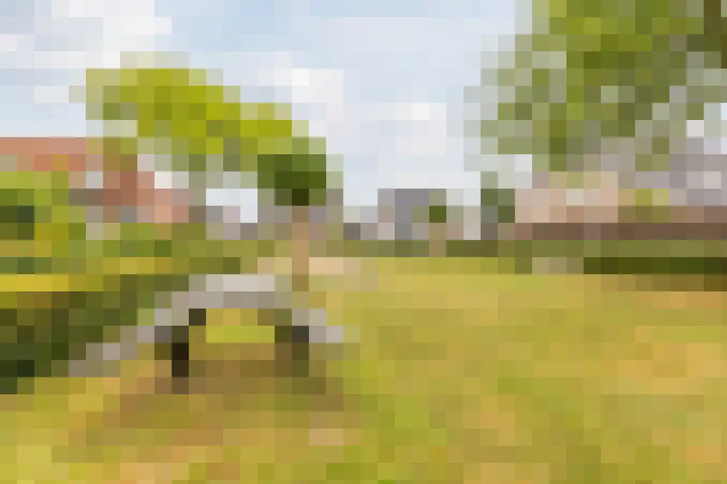 Molenhoeven 17 Loosbroek thumbnail 37