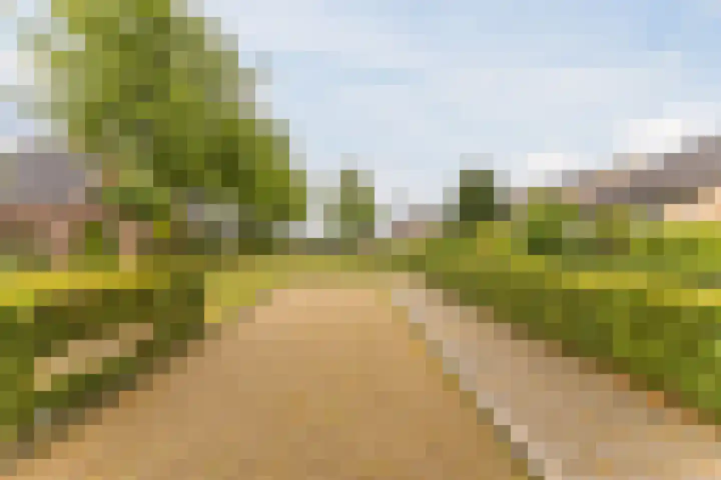 Molenhoeven 17 Loosbroek thumbnail 38