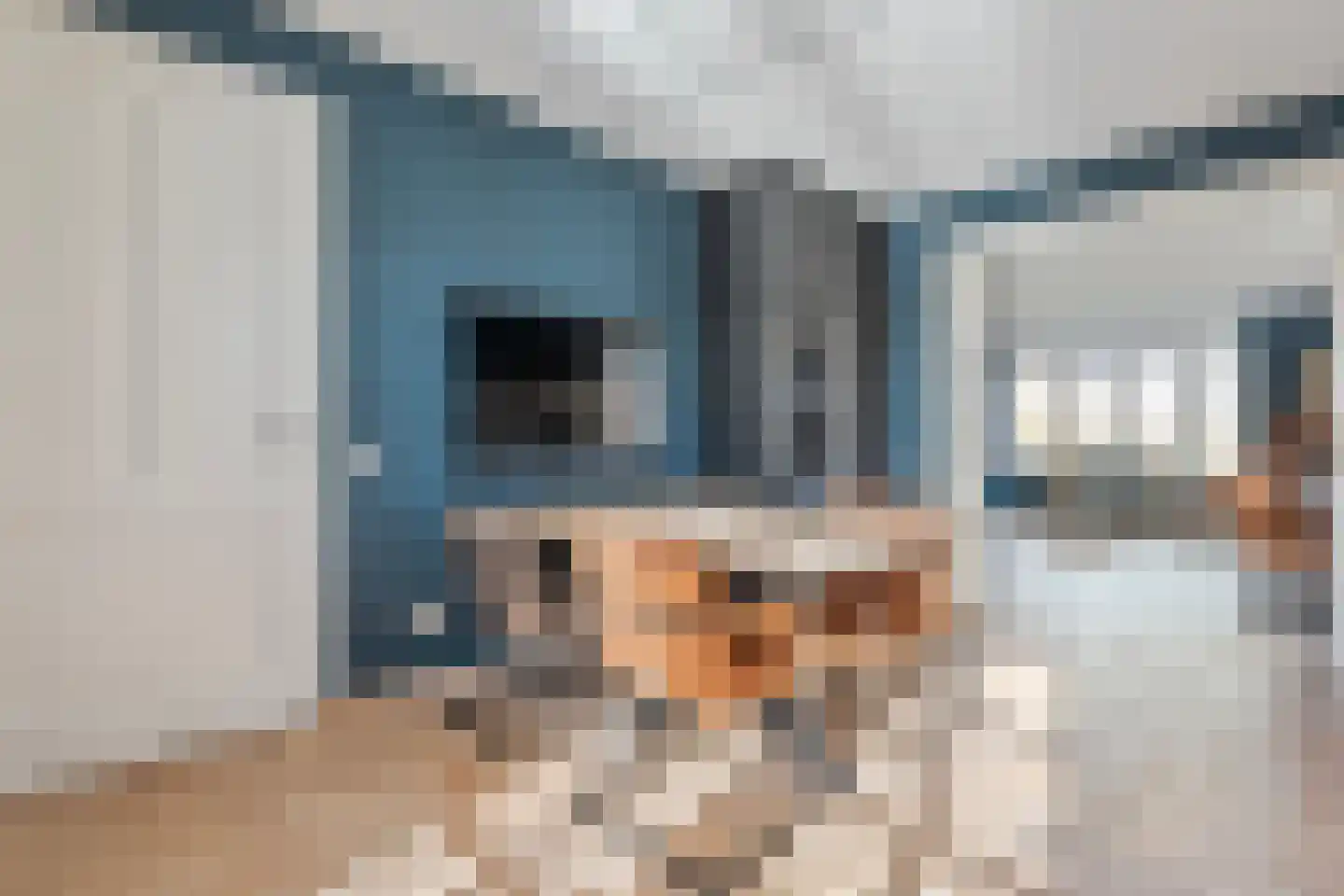 Molenhof 1 Lattrop-Breklenkamp thumbnail 11