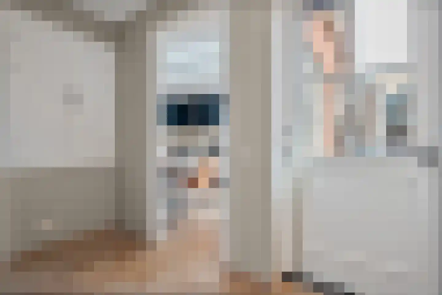 Molenhof 1 Lattrop-Breklenkamp thumbnail 12