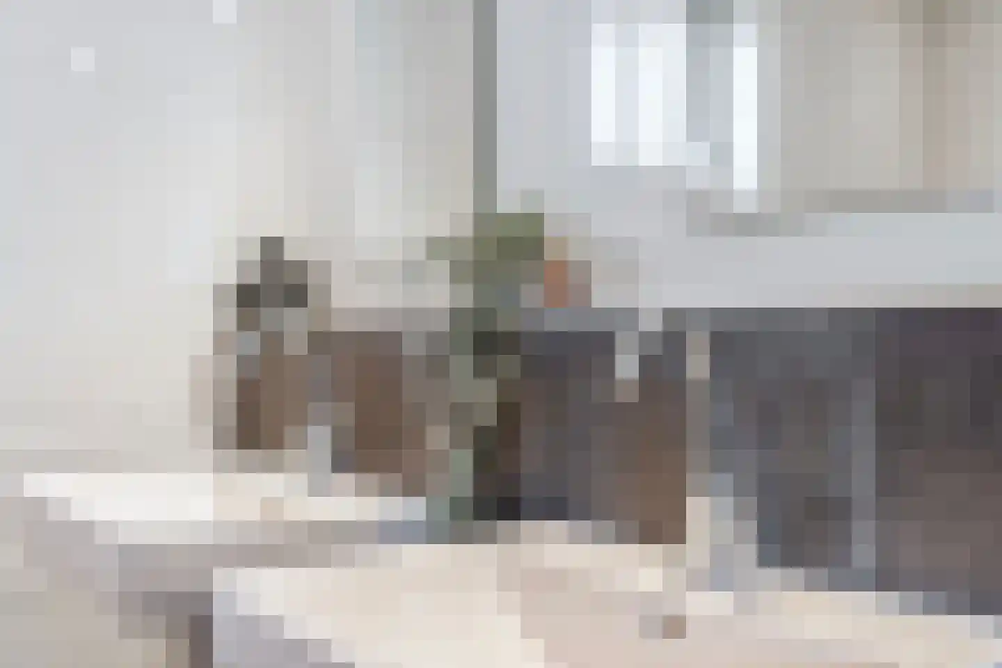 Molenhof 1 Lattrop-Breklenkamp thumbnail 17