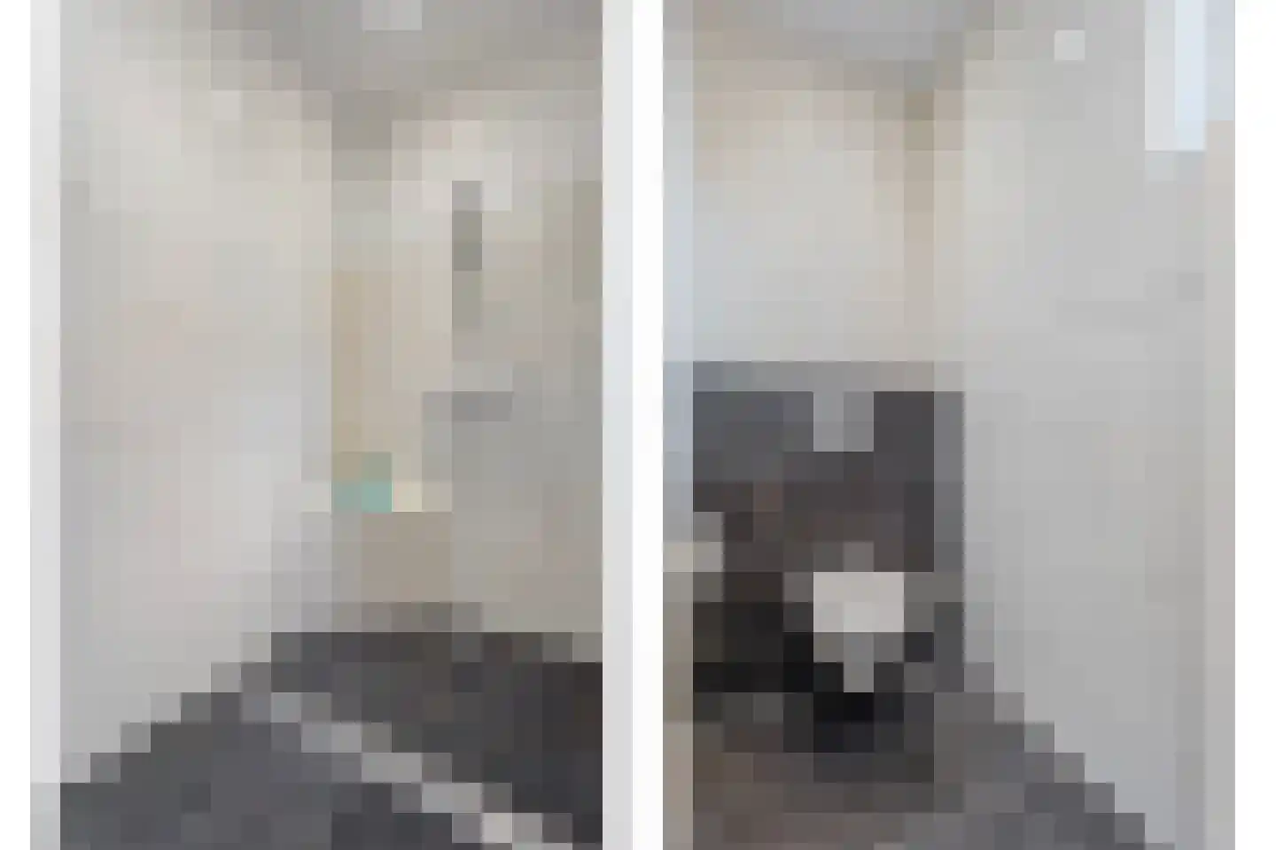 Molenhof 1 Lattrop-Breklenkamp thumbnail 18
