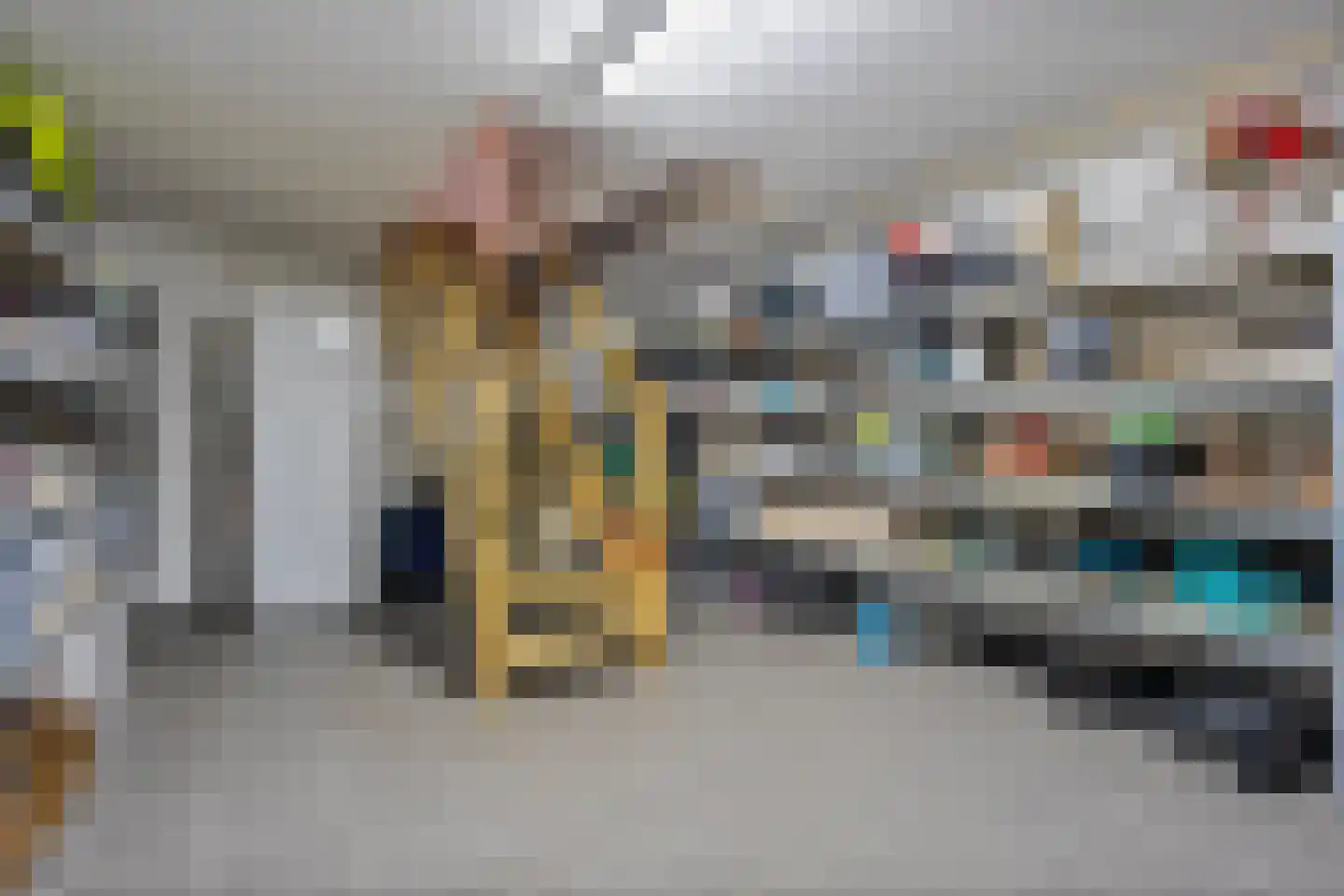Molenhof 1 Lattrop-Breklenkamp thumbnail 19