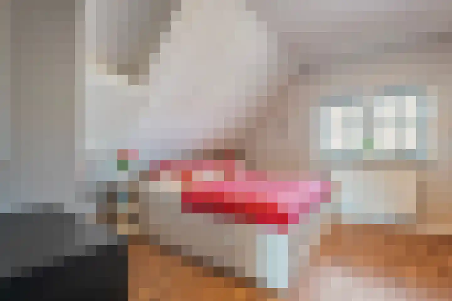 Molenhof 1 Lattrop-Breklenkamp thumbnail 21