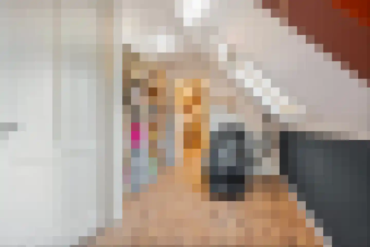 Molenhof 1 Lattrop-Breklenkamp thumbnail 23