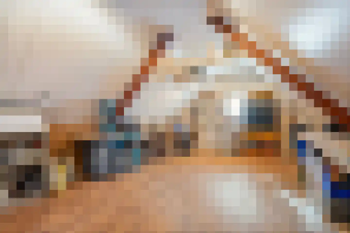 Molenhof 1 Lattrop-Breklenkamp thumbnail 24